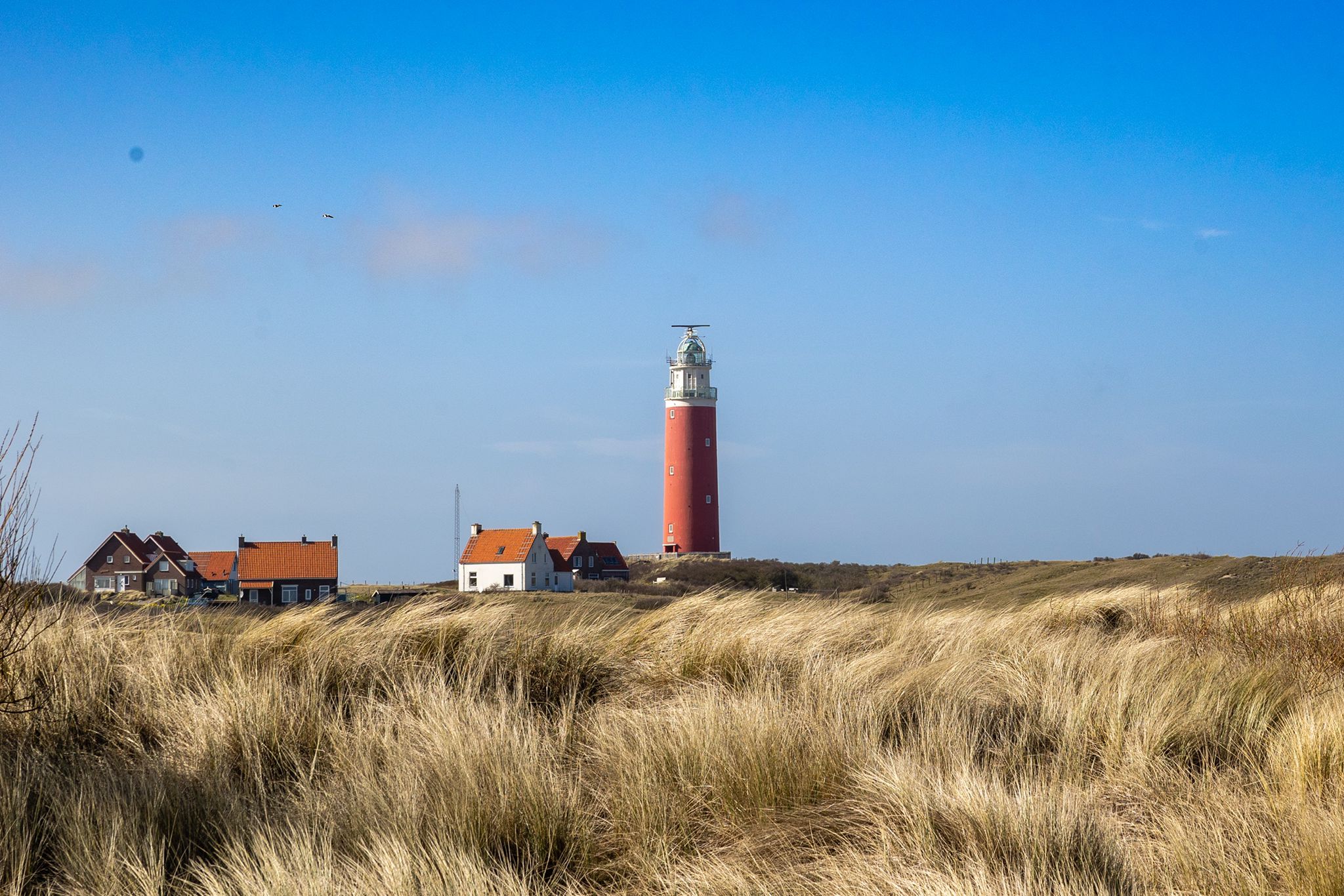 De vuurtoren van Texel: Een Baken van Licht en Geschiedenis