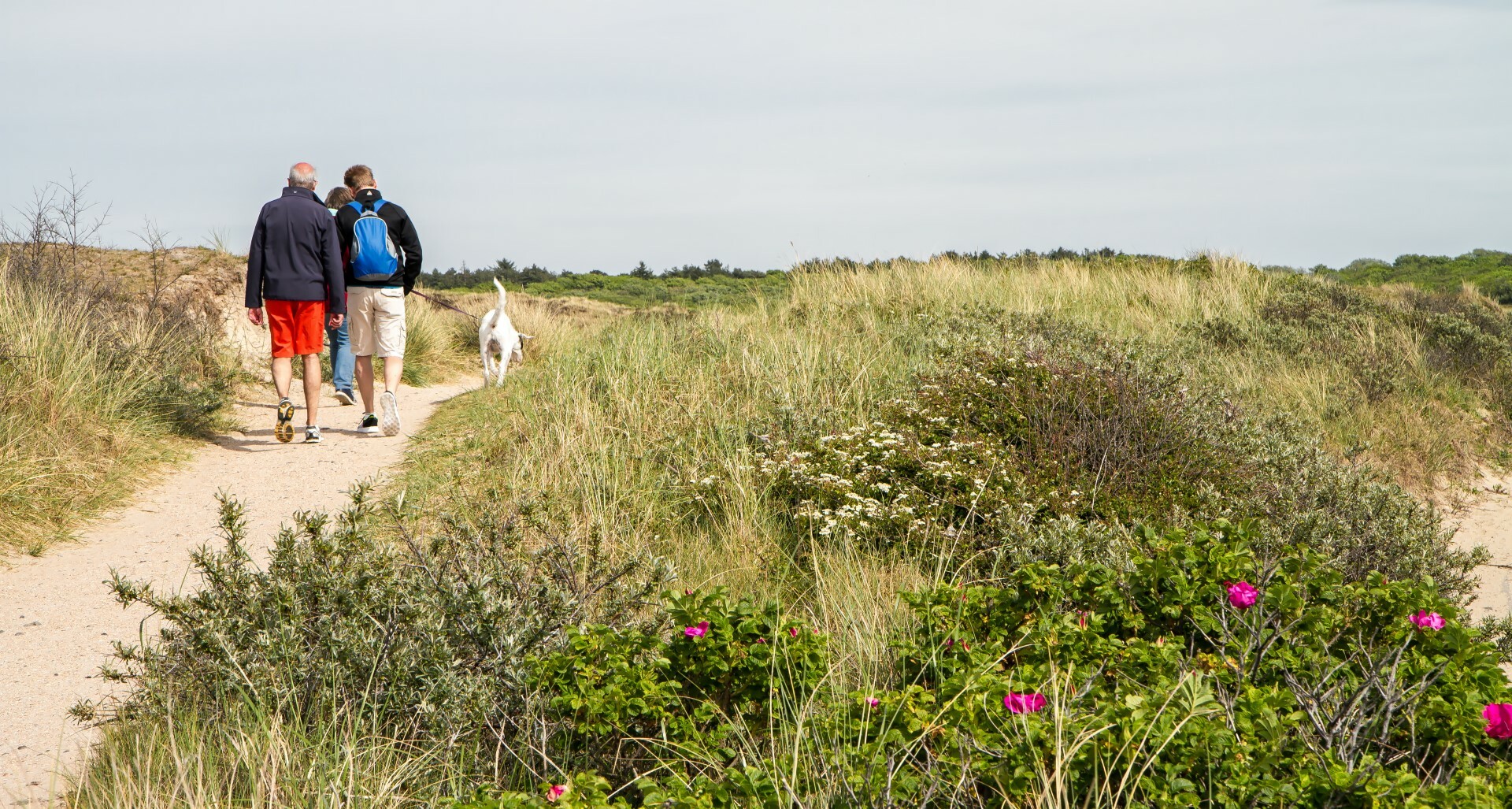 Wandelen op Texel: Ontdek de Natuurlijke Schoonheid van het Eiland